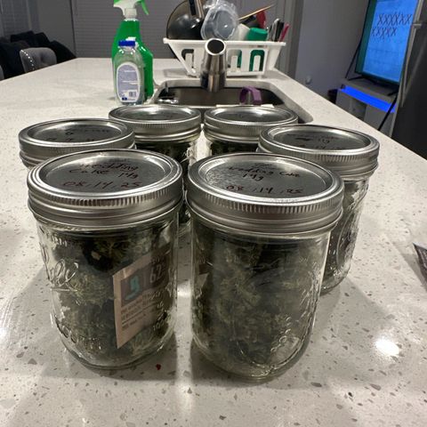 Wedding Cake growlog photo: 2.8oz