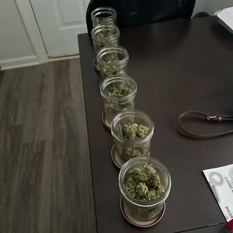 Wedding Cake growlog photo: Have been burping the jars 