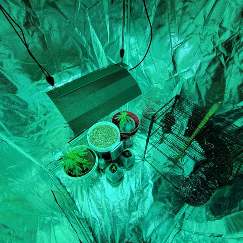 Cake N Chem #1 growlog photo: New Layout, getting prepared for large plants. 