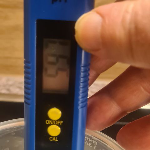 Haschtrid growlog timeline photo