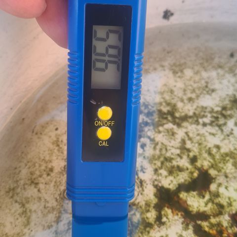 Haschtrid growlog timeline photo