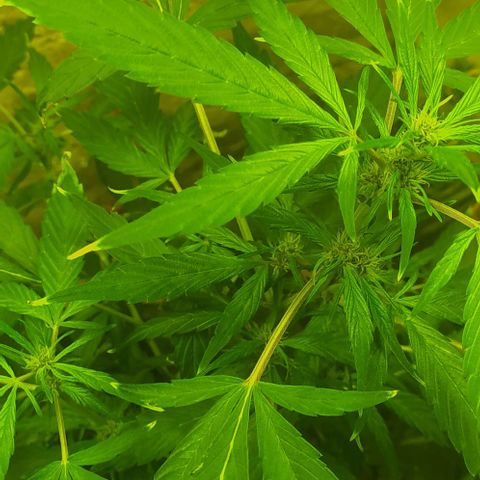 Morita  growlog timeline photo