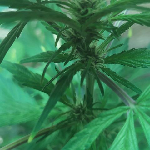 Morita  growlog timeline photo