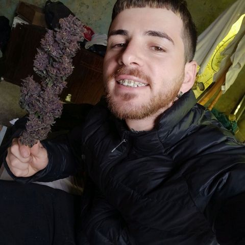 Morita  growlog timeline photo
