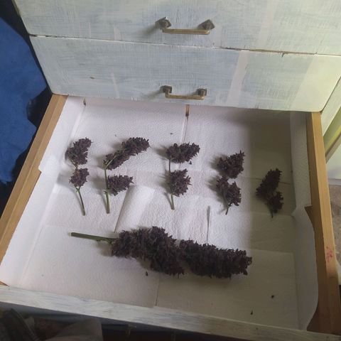 Morita  growlog timeline photo