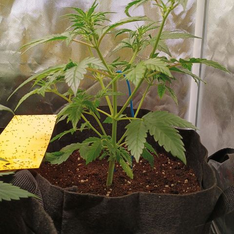 1 growlog timeline photo