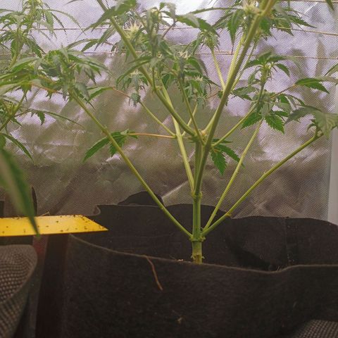 1 growlog timeline photo