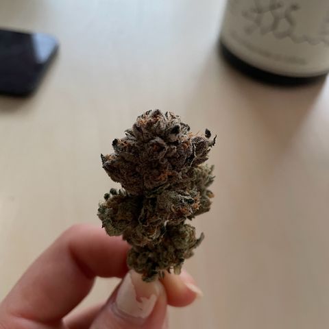 Goofiez2 growlog timeline photo