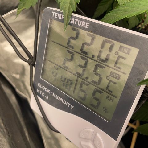 Radical Juice/shopclone growlog timeline photo