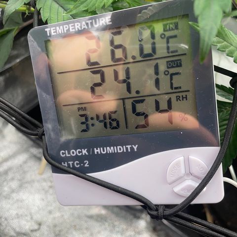 Radical Juice/shopclone growlog timeline photo