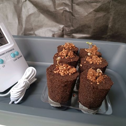 Crystal Meth growlog timeline photo