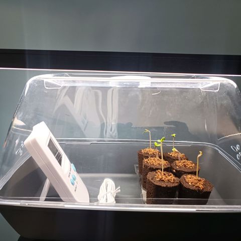 Crystal Meth growlog timeline photo