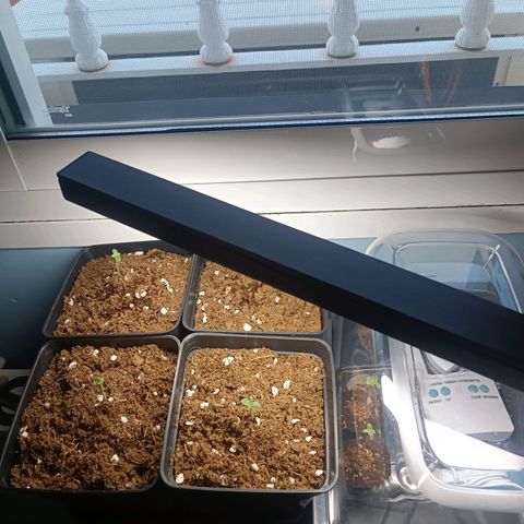 Crystal Meth growlog timeline photo