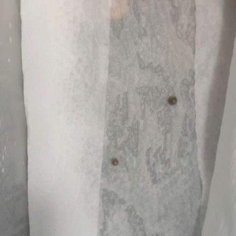 Tutan growlog photo: 24hrs após início para germinação.
Sem sinais 