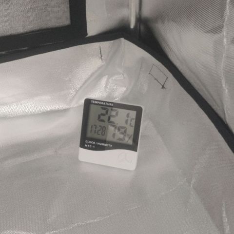 Tutan growlog photo: 24hrs após início para germinação.
Sem sinais 