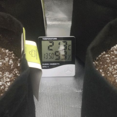 Tutan growlog timeline photo