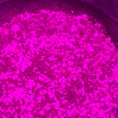 Tutan growlog photo: 03 das 04 sementes apareceram 🌱😄
Adicionado água com ph 6.0