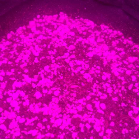 Tutan growlog photo: 03 das 04 sementes apareceram 🌱😄
Adicionado água com ph 6.0