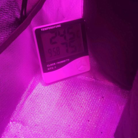 Tutan growlog timeline photo