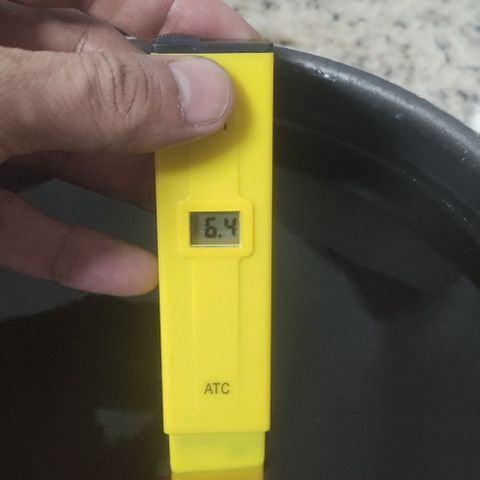 Tutan growlog timeline photo