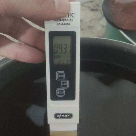 Tutan growlog timeline photo
