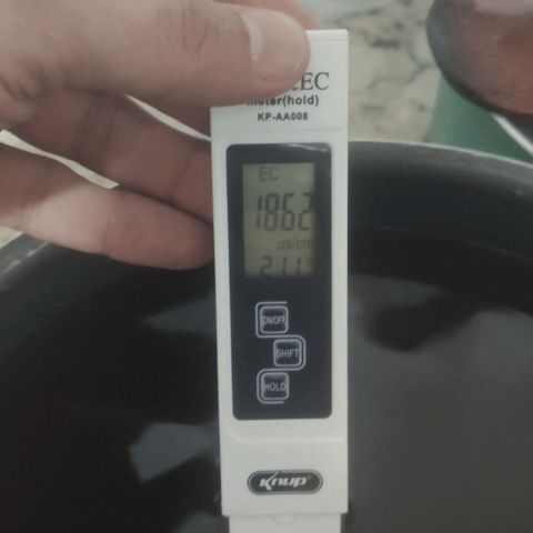 Tutan growlog timeline photo