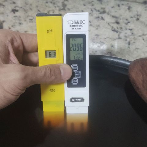 Tutan growlog timeline photo