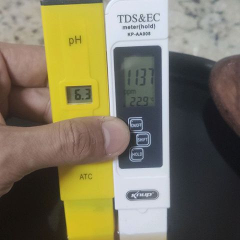 Tutan growlog timeline photo