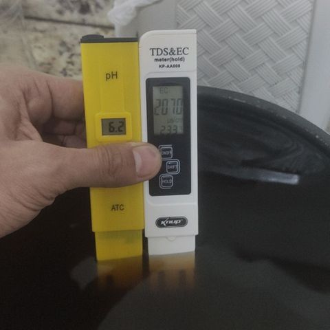 Tutan growlog photo: Entrando na 8 semana 😜