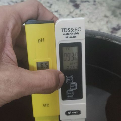 Tutan growlog photo: 11 semanas de flora.
Última semana com Fertilizantes