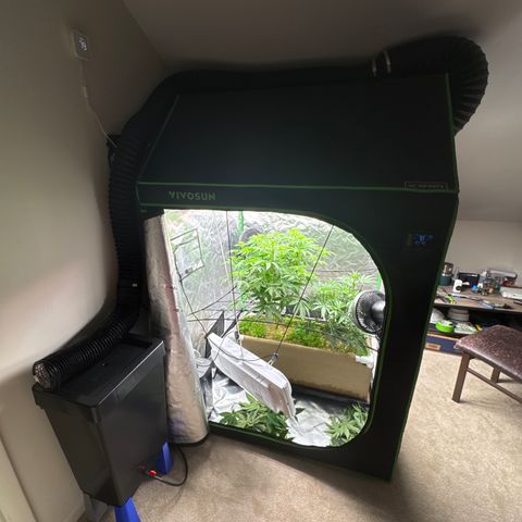 Apple Stomper (GWJ Solocup) growlog timeline photo