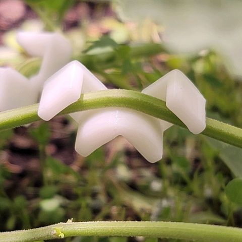 Squirt growlog timeline photo