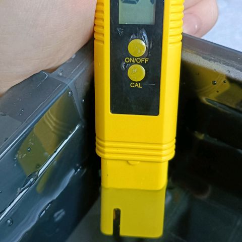 Pineapple Express growlog timeline photo