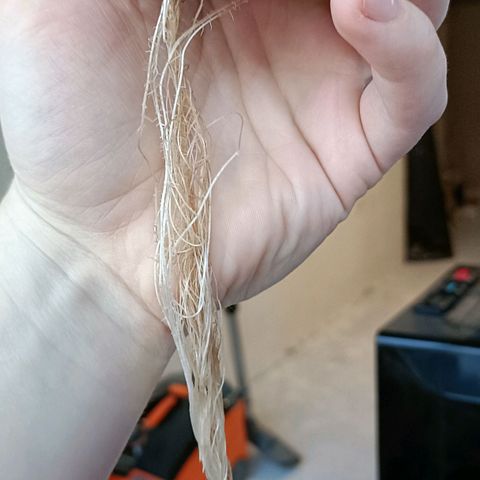 Pineapple Express growlog timeline photo