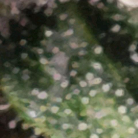Caramba #4 growlog timeline photo