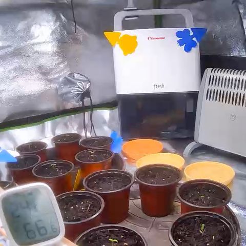Pineapple Express growlog timeline photo