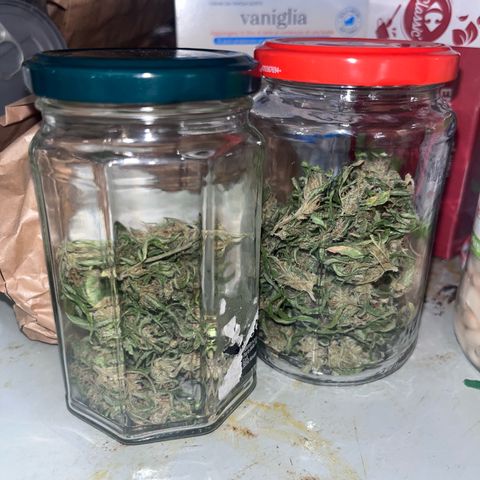 Cream  growlog timeline photo