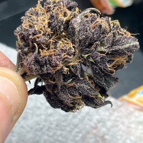 Purple Lemonade auto growlog timeline photo