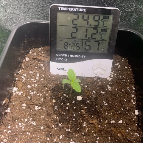 Lucky  growlog timeline photo