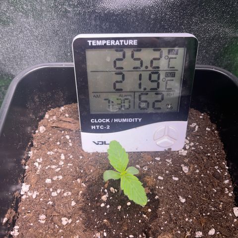 Lucky  growlog timeline photo