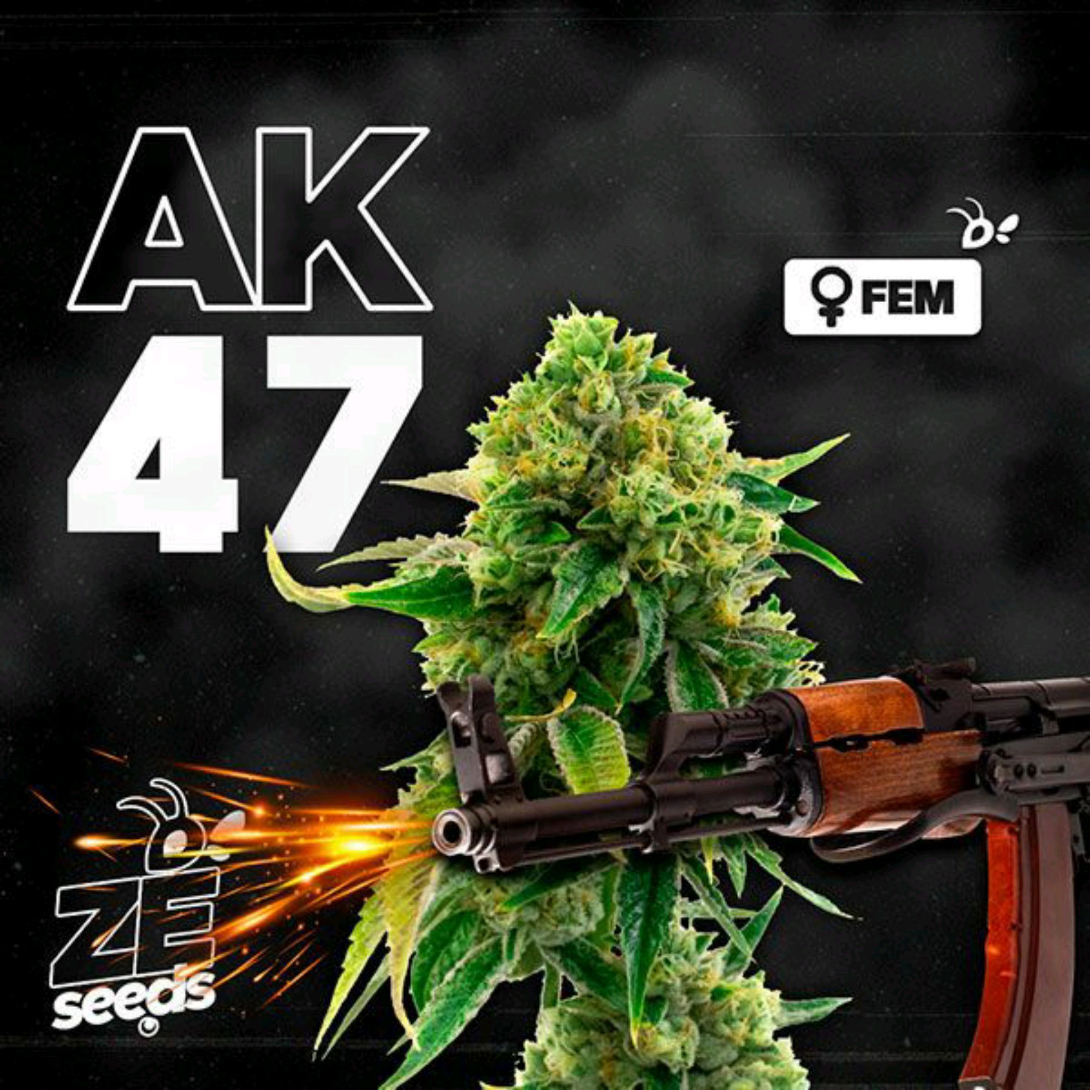 AK 47 growlog header