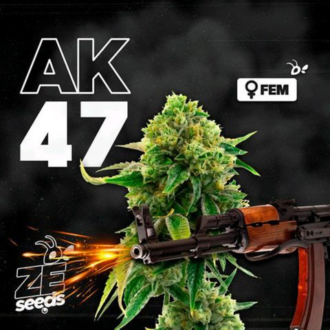 AK 47 growlog photo
