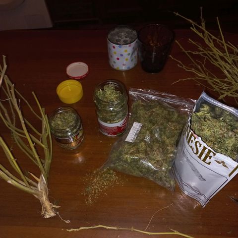 Shogun growlog timeline photo
