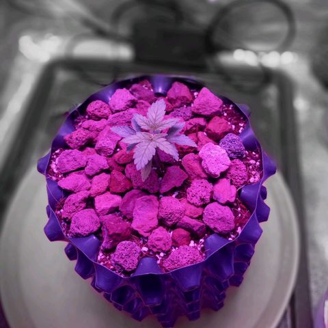Chemdog growlog timeline photo