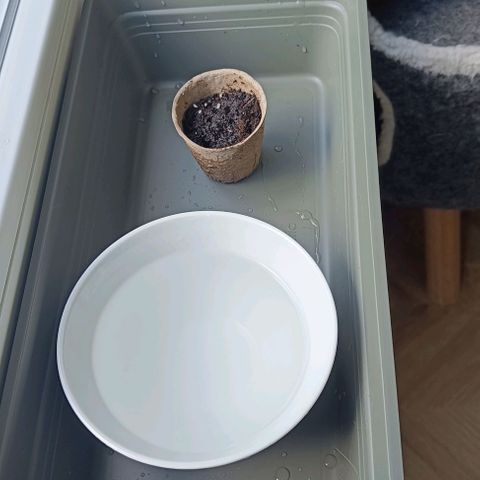 Susi growlog timeline photo