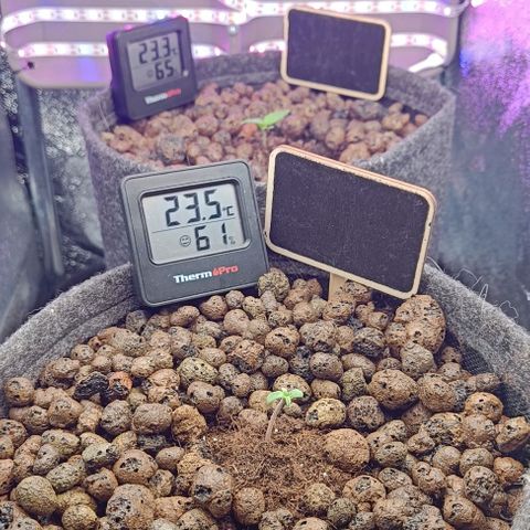 Strolch growlog timeline photo