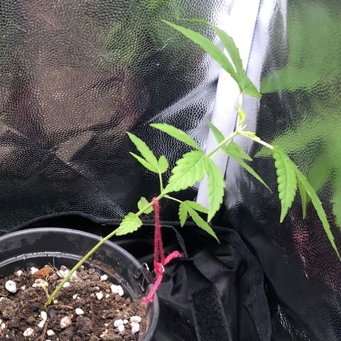 Katia Flávia I growlog photo: 9:15 /// 23:35