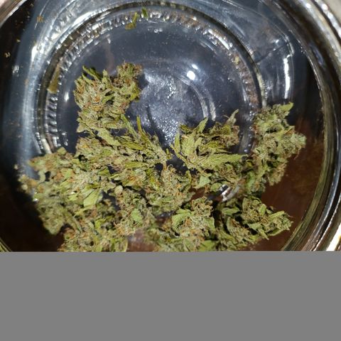 Sprite growlog timeline photo