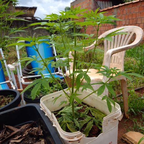 Velhinho growlog photo: Parece que mostrou o sexo hoje