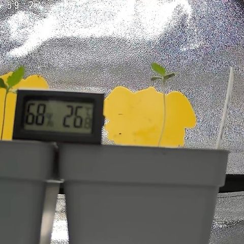 Gushers 1 growlog timeline photo